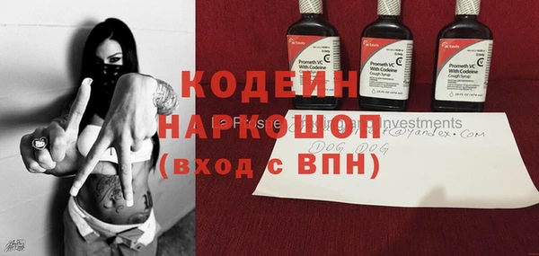 эйфоретик Баксан